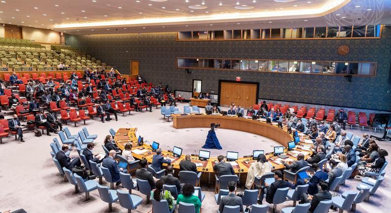 مجلس الأمن الدولي.